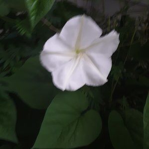 Meet your Posher, Tamara